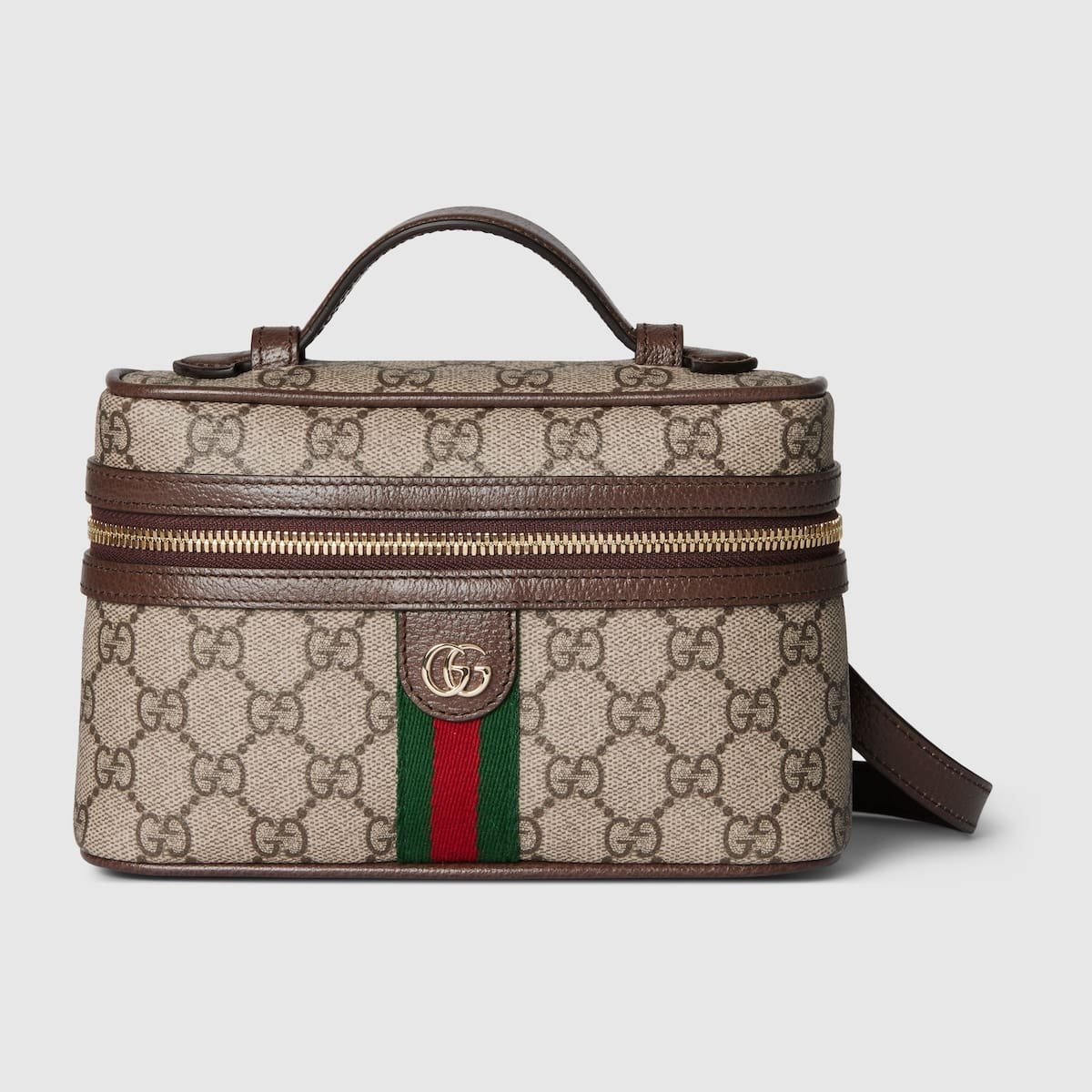 Gvc*1 Ophidia Small Vanity Bag