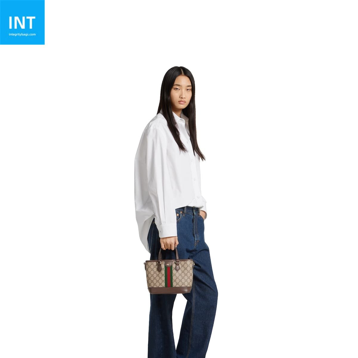 Gvc*1 Ophidia small tote bag