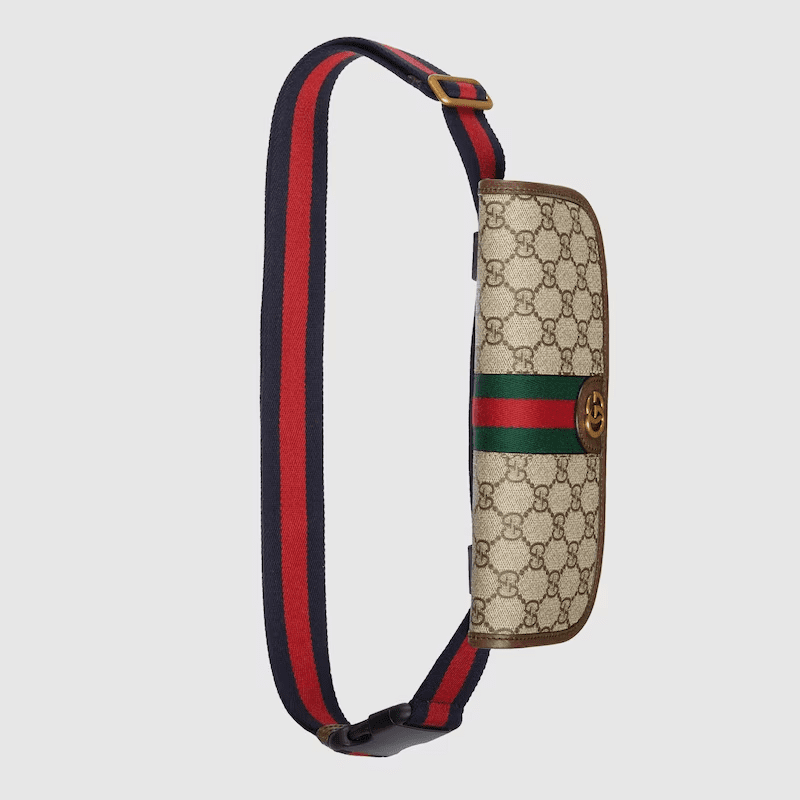 Gvc*1 Ophidia small belt bag