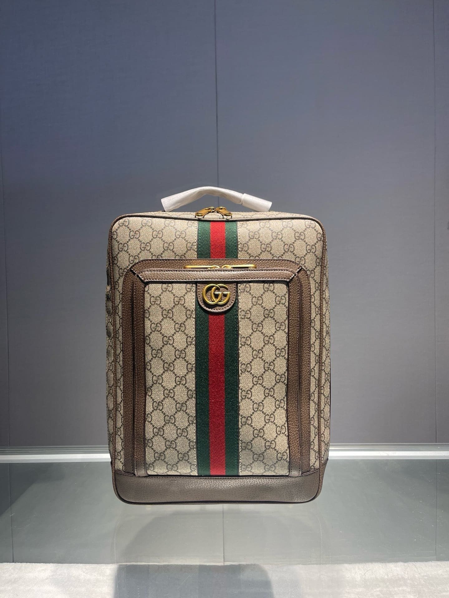Gvc*1 OPHIDIA MEDIUM GG BACKPACK