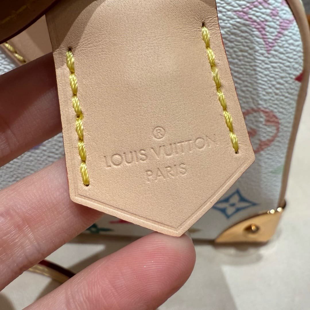 L0vis Vvtt0n M13084 LV x TM Handbag East West