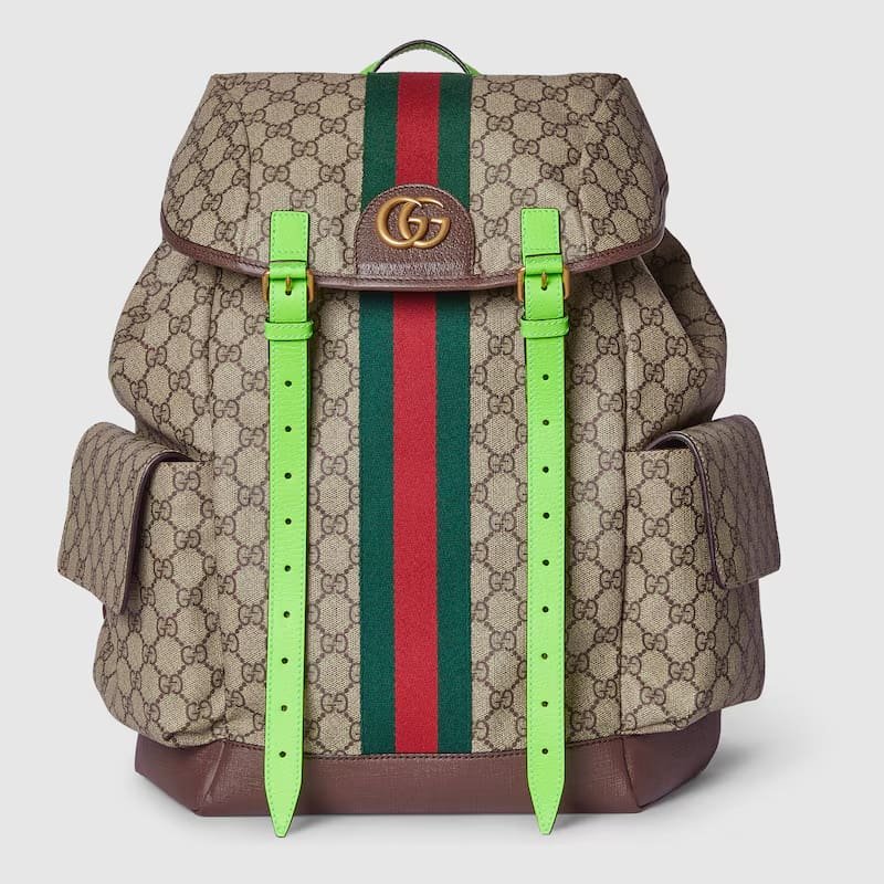 Gvc*1 Ophidia medium backpack
