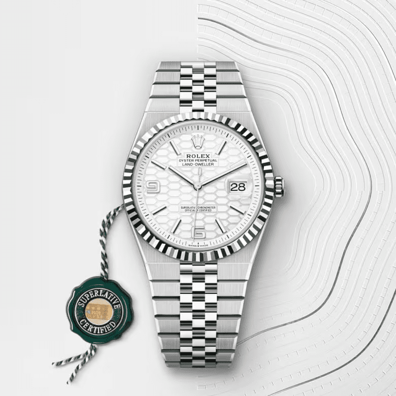 R01ex Land-Dweller Oyster, 40 mm, Oystersteel and white gold M127334