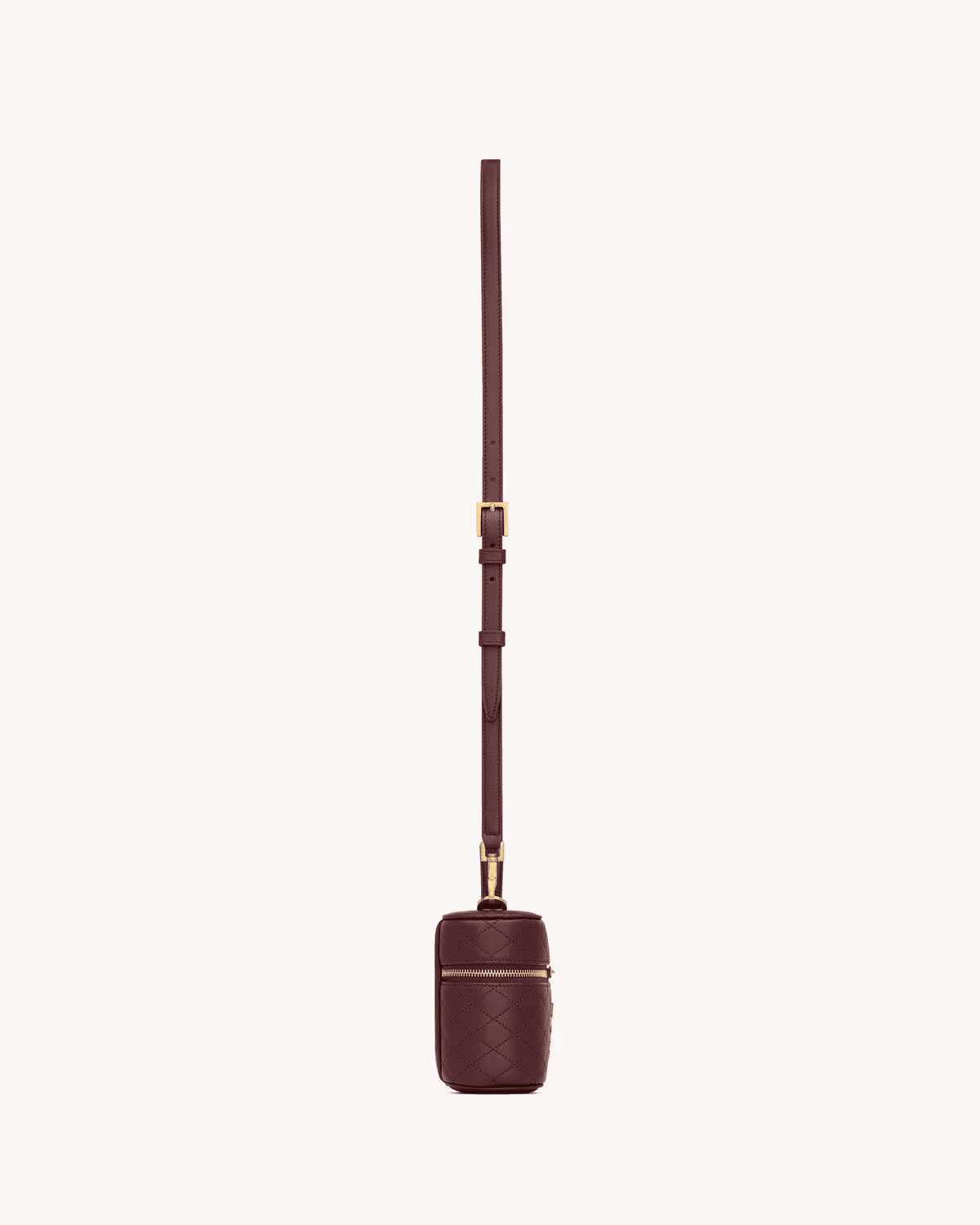 Sa1nt Lau*nt gaby vanity bag in lambskin